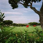 Portugal 2005
Golfbaan van Golf Resort Vale do lobo
