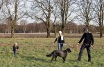 Hoge Veluwe 9 decedmber 2006
Dinand Woesthof zijn zwangere vriendin Lucy en zoontje Dean Maddy wandelen met de honden in park de hoge veluwe.