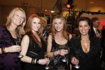Amstelveen 12 december 2009
Kerstborrel Princess in het cobra museum. Anita Heilker met dochter en Esther Oosterbeek en Dorien Ouborg
Peter Smulders bv