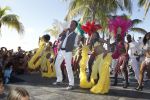 Curacao 7 januari 2012
Gerard Joling opnames videoclip op zanzibar. Patty Brard doet de regie.
Peter Smulders bv