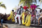 Curacao 7 januari 2012
Gerard Joling opnames videoclip op zanzibar. Patty Brard doet de regie.
Peter Smulders bv