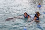Curacao 8 januari 2011
Gerard Joling Patty Brard en Romy Omtzigt zwemmen bij de dolphin academy
bij seaquarium met dolfijnen.
Peter Smulders bv