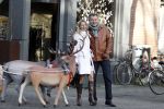 Amsterdam 24 december 2011
Klaas Hummel met zijn vrouw op de cornelis schuytstraat.
`peter Smulders bv