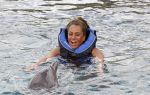 Curacao 8 januari 2011
Gerard Joling Patty Brard en Romy Omtzigt zwemmen bij de dolphin academy
bij seaquarium met dolfijnen.
Peter Smulders bv