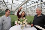 Spierdijk 17 januari 2013
Doop tulp Merel Delight vernoemd naar presentatrice Merel Westrik.
Peter Smulders bv