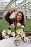 Spierdijk 17 januari 2013
Doop tulp Merel Delight vernoemd naar presentatrice Merel Westrik.
Peter Smulders bv