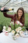 Spierdijk 17 januari 2013
Doop tulp Merel Delight vernoemd naar presentatrice Merel Westrik.
Peter Smulders bv