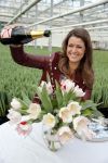Spierdijk 17 januari 2013
Doop tulp Merel Delight vernoemd naar presentatrice Merel Westrik.
Peter Smulders bv