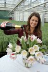 Spierdijk 17 januari 2013
Doop tulp Merel Delight vernoemd naar presentatrice Merel Westrik.
Peter Smulders bv