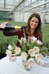 Spierdijk 17 januari 2013
Doop tulp Merel Delight vernoemd naar presentatrice Merel Westrik.
Peter Smulders bv