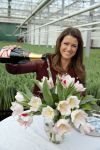 Spierdijk 17 januari 2013
Doop tulp Merel Delight vernoemd naar presentatrice Merel Westrik.
Peter Smulders bv