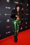 Amsterdam 22 december 2012
Radio 538 Jingle balls in het ziggo dome. Loreen
Peter Smulders bv