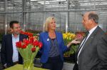 Lisse 15 januari 2015
Irene Moors doopt de rode kruis tulp.