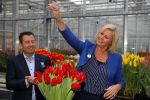 Lisse 15 januari 2015
Irene Moors doopt de rode kruis tulp.