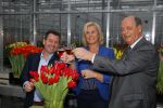 Lisse 15 januari 2015
Irene Moors doopt de rode kruis tulp.