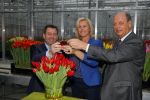 Lisse 15 januari 2015
Irene Moors doopt de rode kruis tulp.