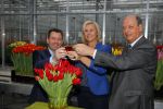 Lisse 15 januari 2015
Irene Moors doopt de rode kruis tulp.