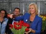 Lisse 15 januari 2015
Irene Moors doopt de rode kruis tulp.