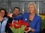 Lisse 15 januari 2015
Irene Moors doopt de rode kruis tulp.