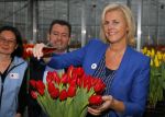 Lisse 15 januari 2015
Irene Moors doopt de rode kruis tulp.