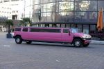 Amsterdam 9 decmber 2015
Premiere Mega Mindy met oa Jim Bakkum en Frou Souffriau in pathe arena.
roze limo hummer