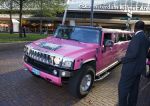 Amsterdam 9 decmber 2015
Premiere Mega Mindy met oa Jim Bakkum en Frou Souffriau in pathe arena.
roze limo hummer
