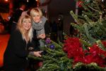 Hilversum 7 december 2015
Event Sky radio met kerstboom. De olgende bn ers doe mee.
 Xander de BuisonjÃ© & Sharon Doorson (dance4life), Barry Atsma (Diabetes Fonds) & Do (Stichting DON), Mari van de Ven & Dyanne Beekman (Hartstichting), Beau Schneider & Ruud Feltkamp (KWF Kankerbestrijding), Roel van Velzen & Roos MoggrÃ© (MasterPeace), Anouk Smulders & ManuÃ«la Kemp (Ruby and Rose), Ellen ten Damme & Henk Schiffmacher (Stichting Vluchteling), Bartho Braat & Lone van Roosendaal (Trombosestichting) en Danny de Munk & Vivian Reijs (Voedselbanken Nederland).
Vakjury
De vakjury bestaat dit jaar uit voorzitter Nance Coolen (presentatrice en winnares van CTFC 2014), Fred van Leer (kledingstylist en presentator) en Pascal Koeleman (ondernemer en jurylid van SBS 6' Hollands Beste Bloemstylis
