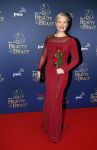 Scheveningen 13 december 2015
Premiere Beauty & the beast in het circustheater.
Wieneke Remmers