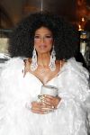 Den Haag 16 december 2019
De society lunch in hotel crown plaza . Nederlandse Diana Ross