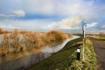 Zaltbommel, 19 Januari 2011
De Hurwenense Kil is in zijn huidige vorm ontstaan in het jaar 1639. Toen werd een oude meander van de Waal door de mens afgesneden van de rivier. De oude loop van de rivier is nog duidelijk in het landschap te herkennen. Bij hoog water in de rivier stroomt het water door het gebied heen en hierdoor ontstaat een uitermate rijk natuurgebied. Het is dan ook geen wonder dat De Kil van Hurwenen uitgeroepen is tot natuurreservaat. Natuurreservaat