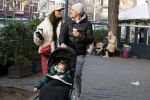Amsterdam 22 december 2021
Lil Kleine en jaimie Vaes met hun zoon Lion op de cofnelis schuytstraat.