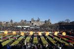 Amsterdam 21 januari 2023
Irene Schouten doopt een tulp op het museumplein.