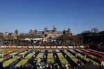 Amsterdam 21 januari 2023
Irene Schouten doopt een tulp op het museumplein.