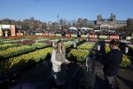 Amsterdam 21 januari 2023
Irene Schouten doopt een tulp op het museumplein.