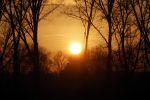 Abcoude 16 februari 2022
Ondergaande zon