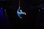 Amsterdam 20 december 2023
Premiere kerstcircus in Carre.