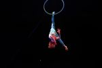 Amsterdam 20 december 2023
Premiere kerstcircus in Carre.