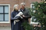 Den Haag 22 december 2023
Fotouurtje met Koning Willem Alexander Koningin Maxima Prinses Amalia Prinses Alexia Prinses Ariane en hun hondje Mambo bij Huis ten Bosch .