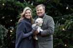 Den Haag 22 december 2023
Fotouurtje met Koning Willem Alexander Koningin Maxima Prinses Amalia Prinses Alexia Prinses Ariane en hun hondje Mambo bij Huis ten Bosch .
