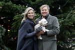 Den Haag 22 december 2023
Fotouurtje met Koning Willem Alexander Koningin Maxima Prinses Amalia Prinses Alexia Prinses Ariane en hun hondje Mambo bij Huis ten Bosch .