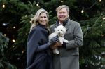 Den Haag 22 december 2023
Fotouurtje met Koning Willem Alexander Koningin Maxima Prinses Amalia Prinses Alexia Prinses Ariane en hun hondje Mambo bij Huis ten Bosch .