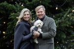 Den Haag 22 december 2023
Fotouurtje met Koning Willem Alexander Koningin Maxima Prinses Amalia Prinses Alexia Prinses Ariane en hun hondje Mambo bij Huis ten Bosch .
