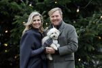 Den Haag 22 december 2023
Fotouurtje met Koning Willem Alexander Koningin Maxima Prinses Amalia Prinses Alexia Prinses Ariane en hun hondje Mambo bij Huis ten Bosch .