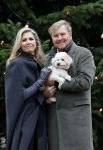 Den Haag 22 december 2023
Fotouurtje met Koning Willem Alexander Koningin Maxima Prinses Amalia Prinses Alexia Prinses Ariane en hun hondje Mambo bij Huis ten Bosch .