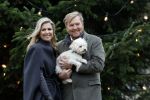 Den Haag 22 december 2023
Fotouurtje met Koning Willem Alexander Koningin Maxima Prinses Amalia Prinses Alexia Prinses Ariane en hun hondje Mambo bij Huis ten Bosch .