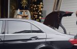 Amsterdam / Schiphol 28 december 2023
Sylvie Meis vertrekt vanaf het Appartement van partner Wim Beelen naar Schiphol. Sylvie heeft de kerstdagen bij Wim men familie gevierd.