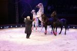 Amsterdam 18 december 2024
Kerstcircus in Carre.