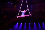 Amsterdam 18 december 2024
Kerstcircus in Carre.