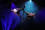 Amsterdam 18 december 2024
Kerstcircus in Carre.