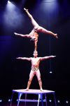 Amsterdam 18 december 2024
Kerstcircus in Carre.